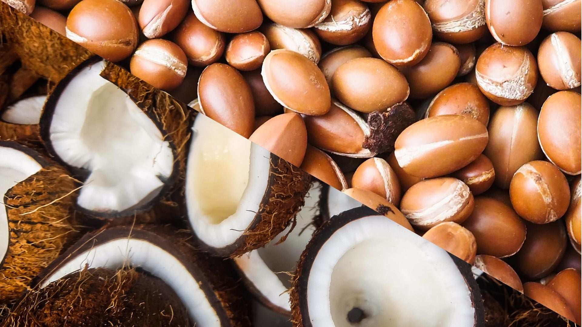Argan Oil vs. Coconut Oil