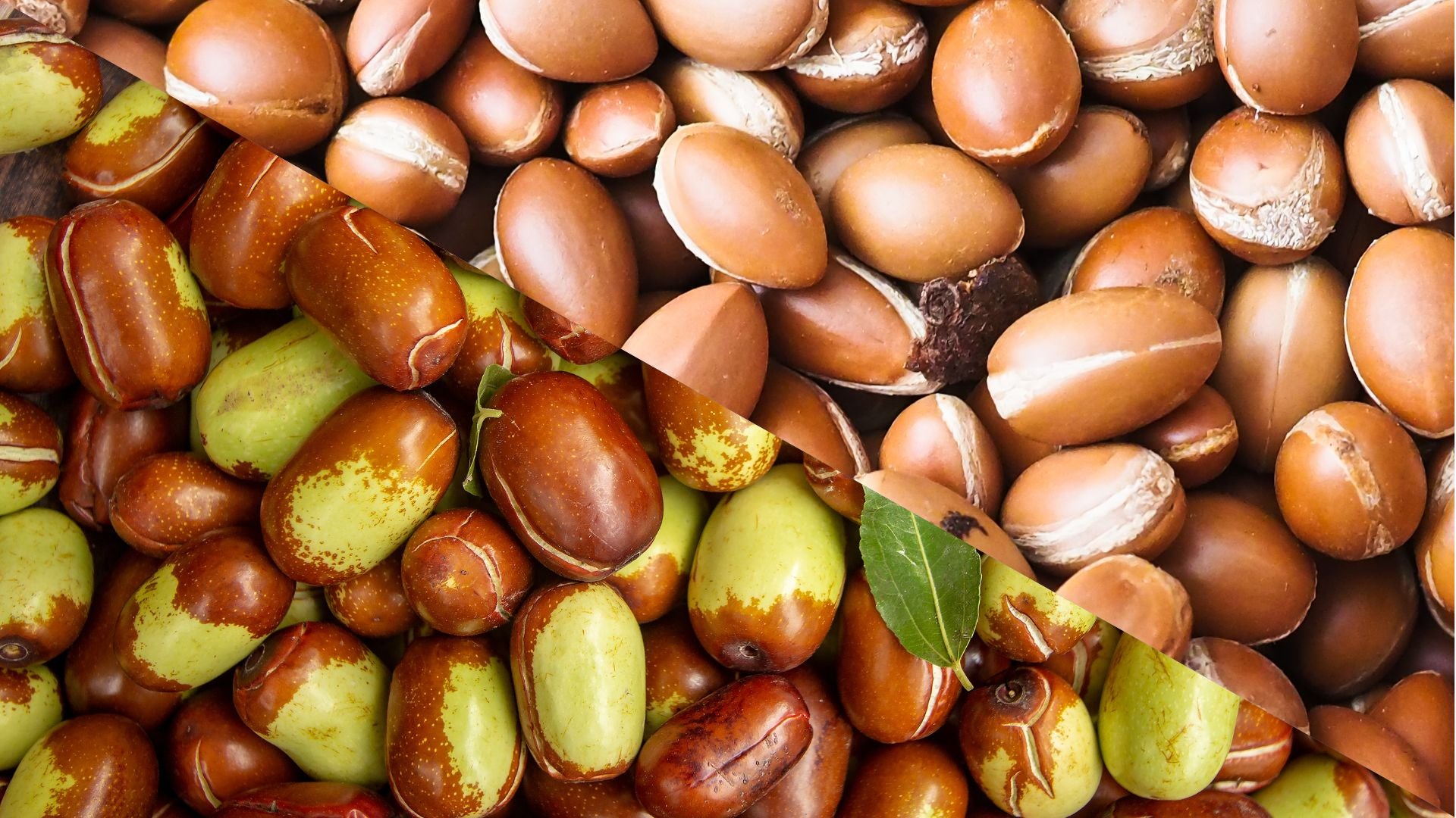 Argan Oil vs Jojoba Oil for Hair
