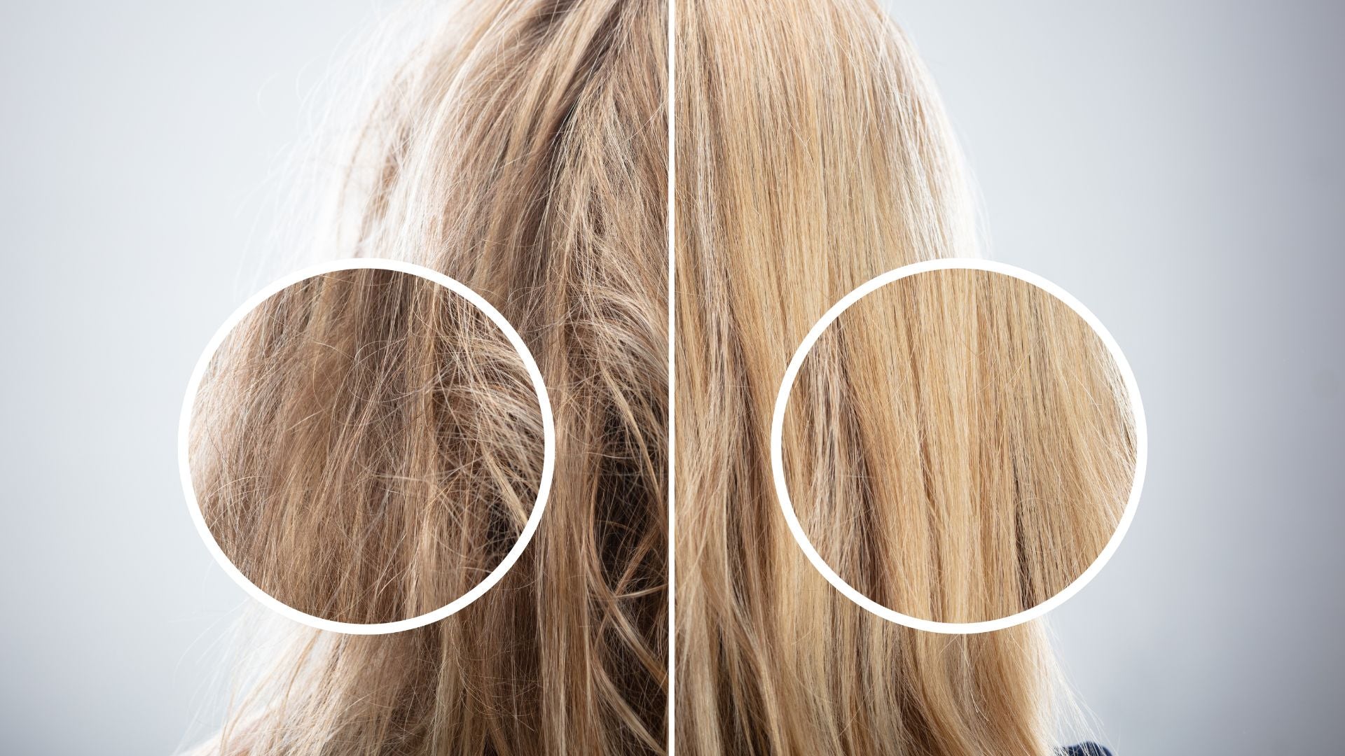 Before and After Using Purple Shampoo