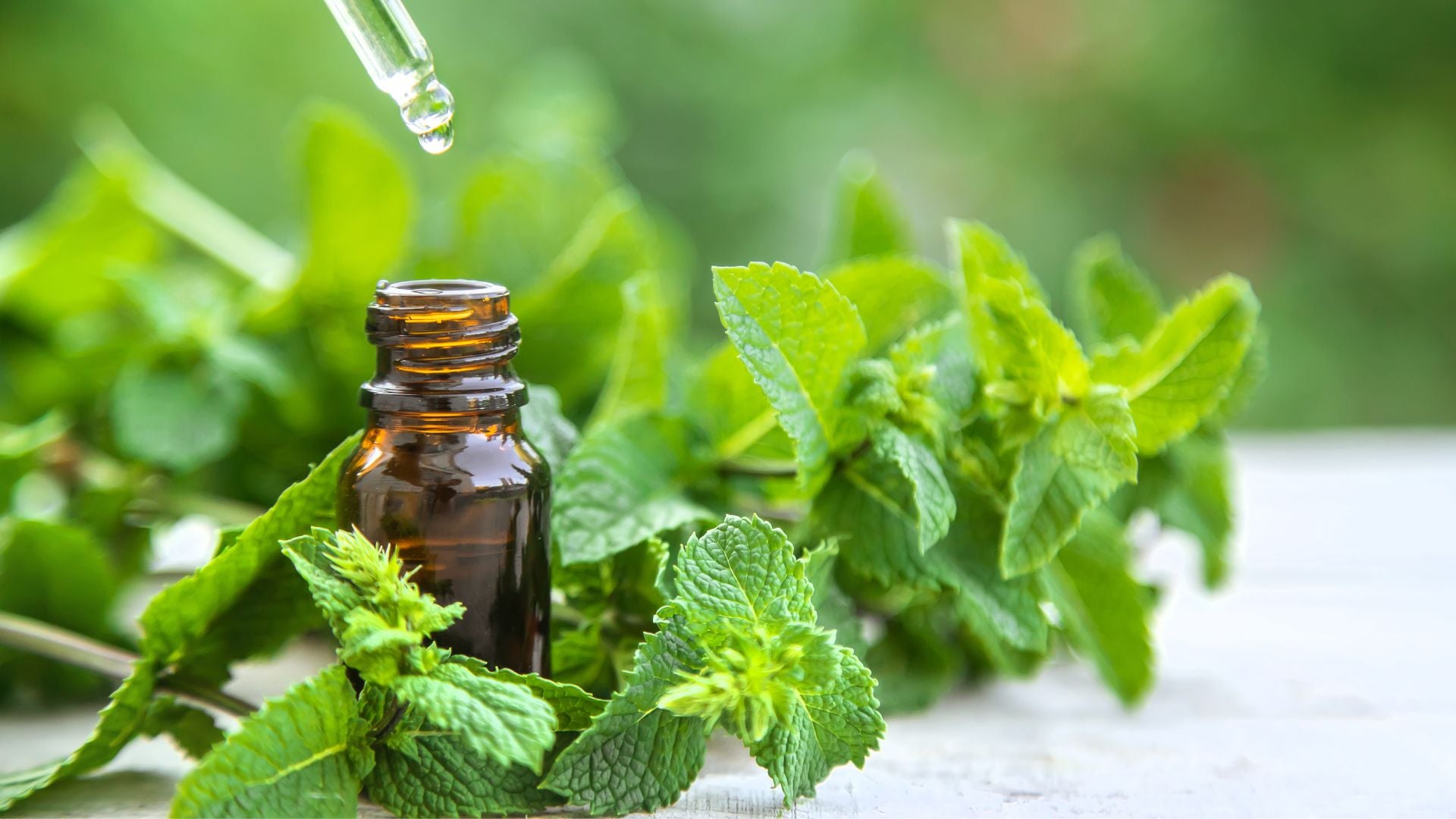 The Essence of Peppermint Oil: Nature's Invigorating Elixir