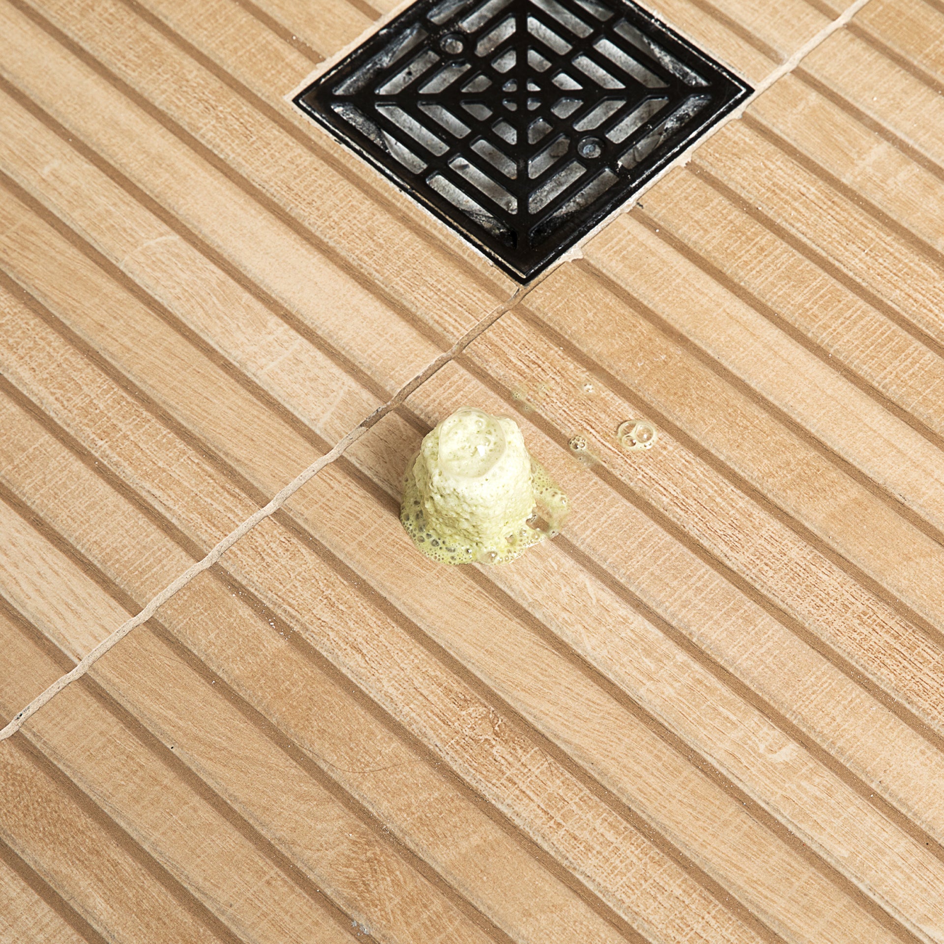 shower steamer bundle - Parrotfish