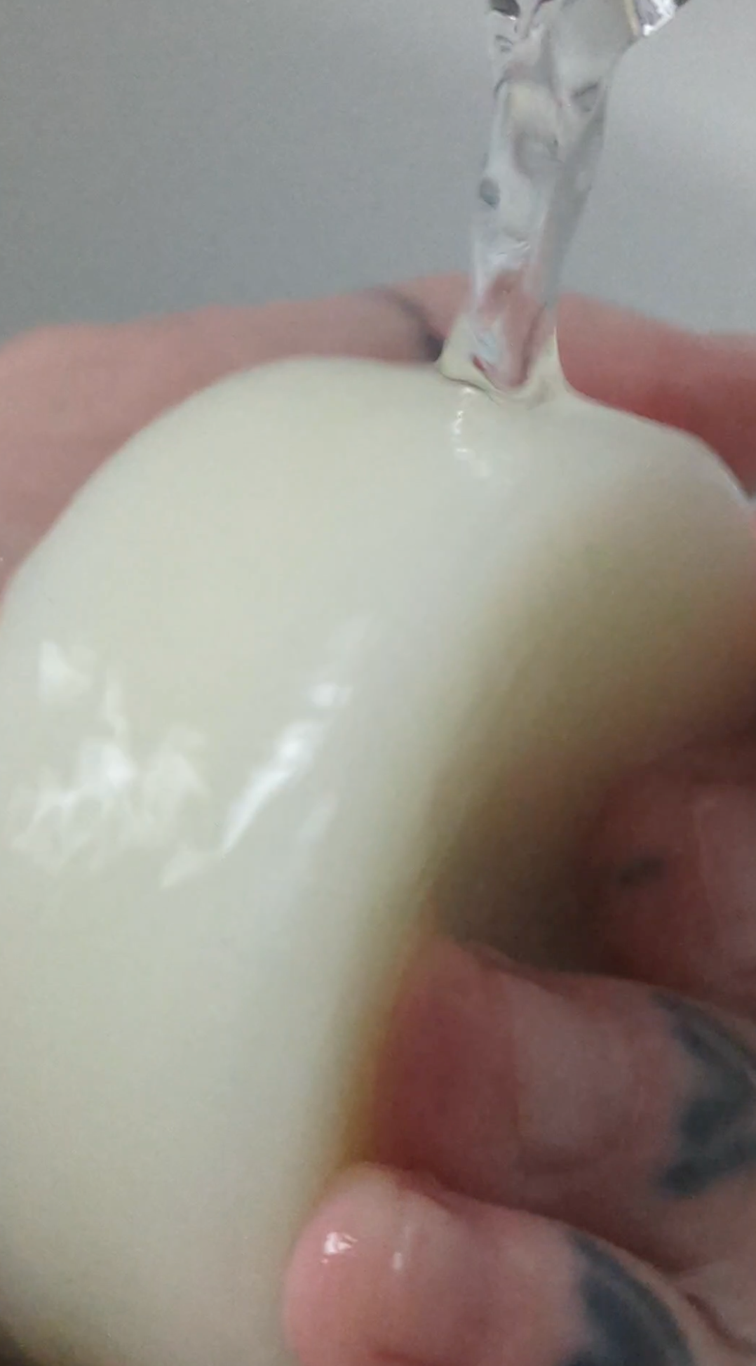 Parrotfish-Peppermint-Conditioner-Bar