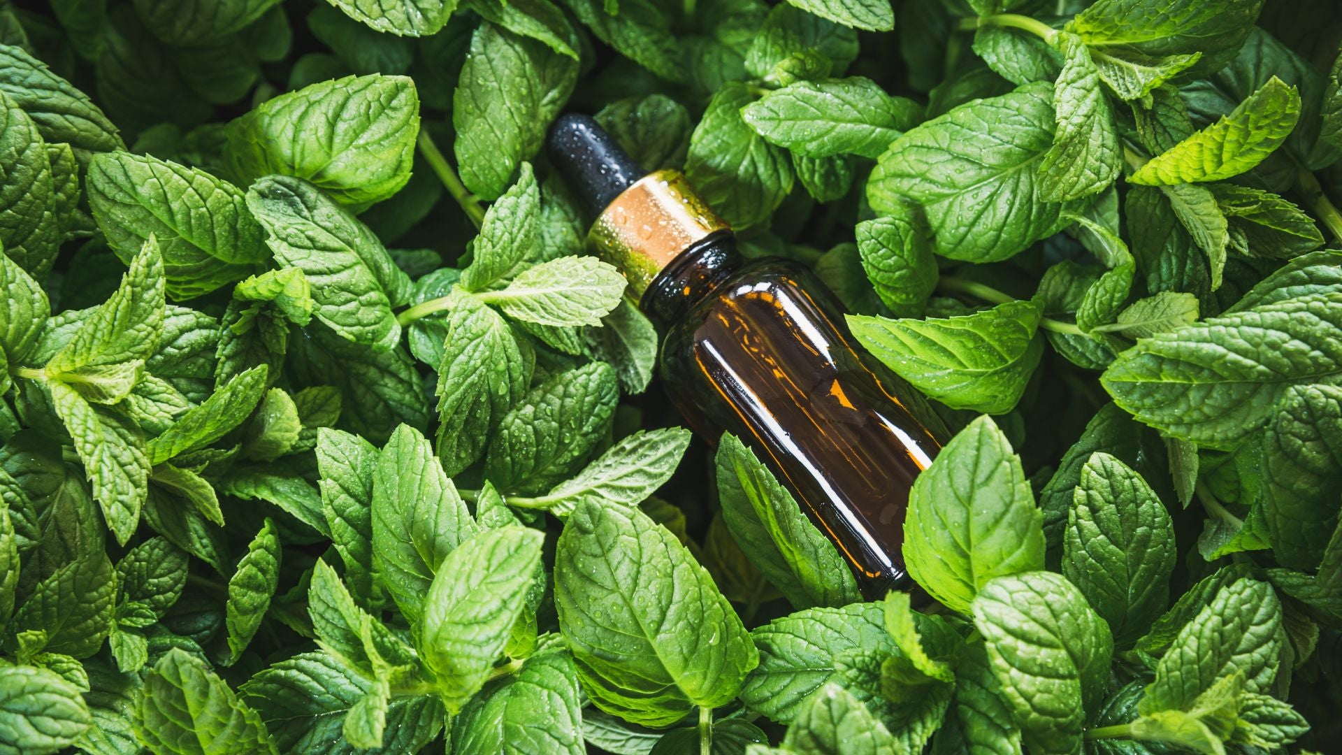 The Power of Peppermint Oil: A Comprehensive Guide