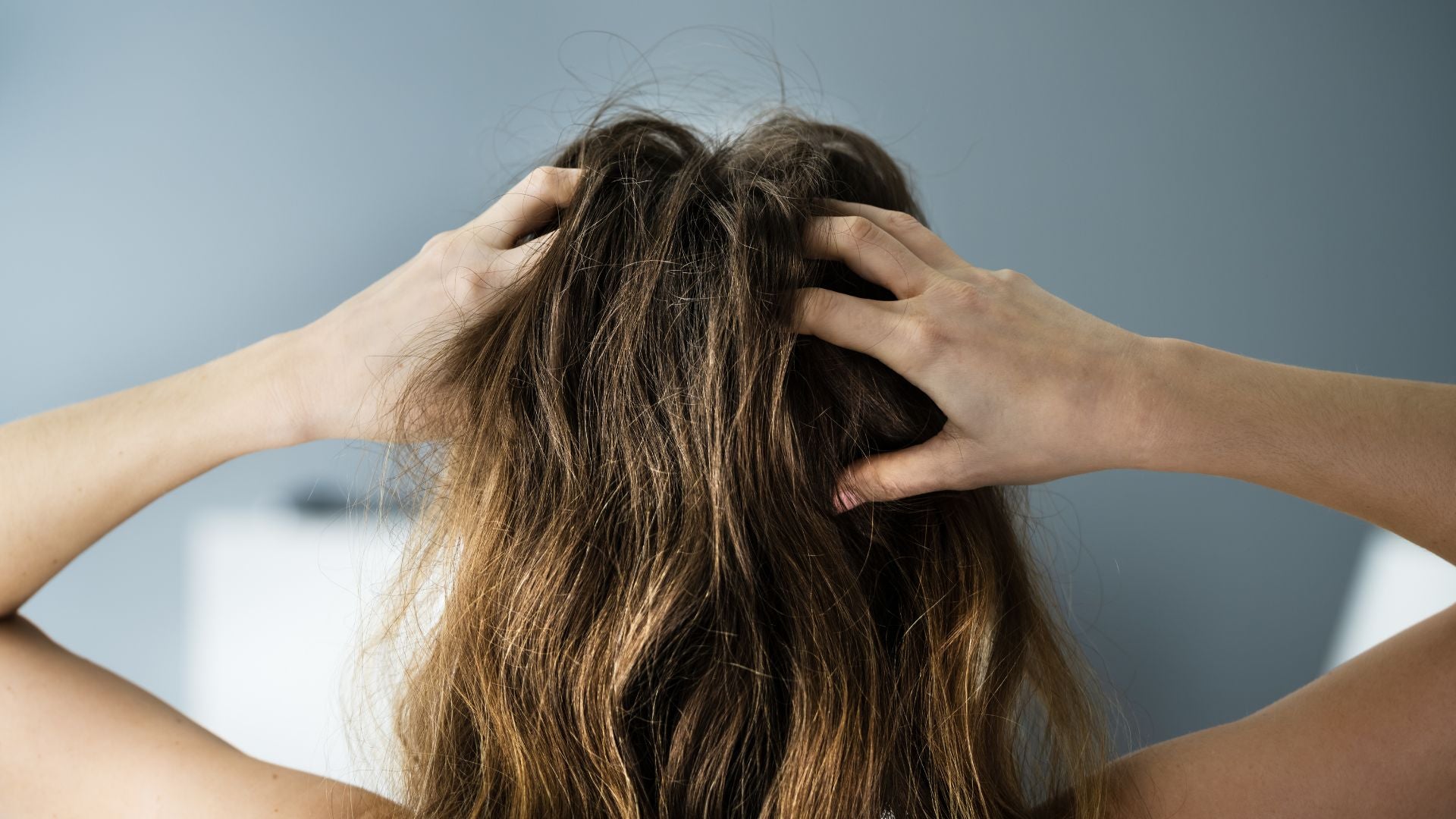 Purple Shampoo On Dry Hair