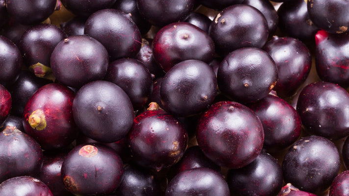 Harnessing the Power of Acai Oil: Your Solution to Sun-Damaged Hair