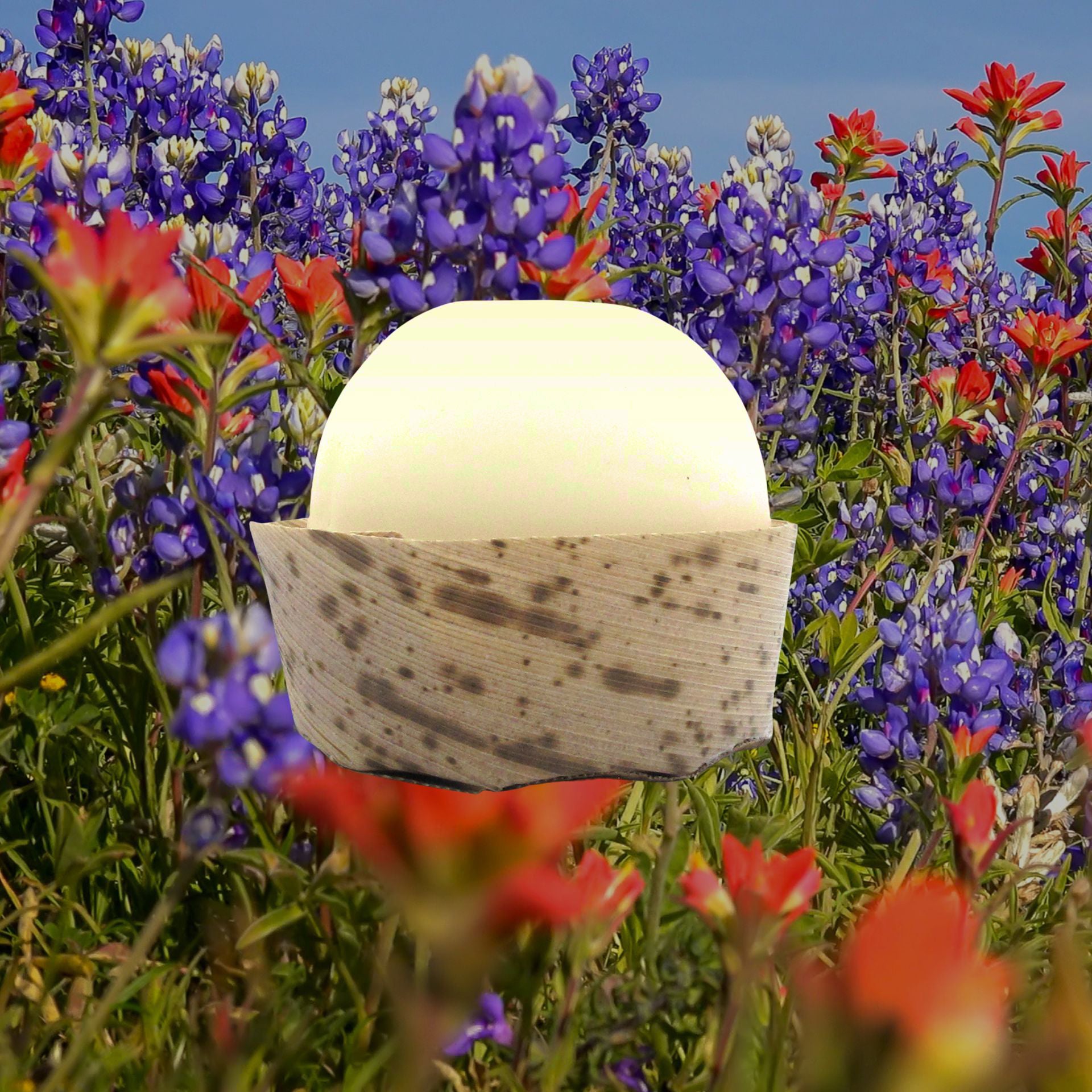 wildflower sage lotion bar