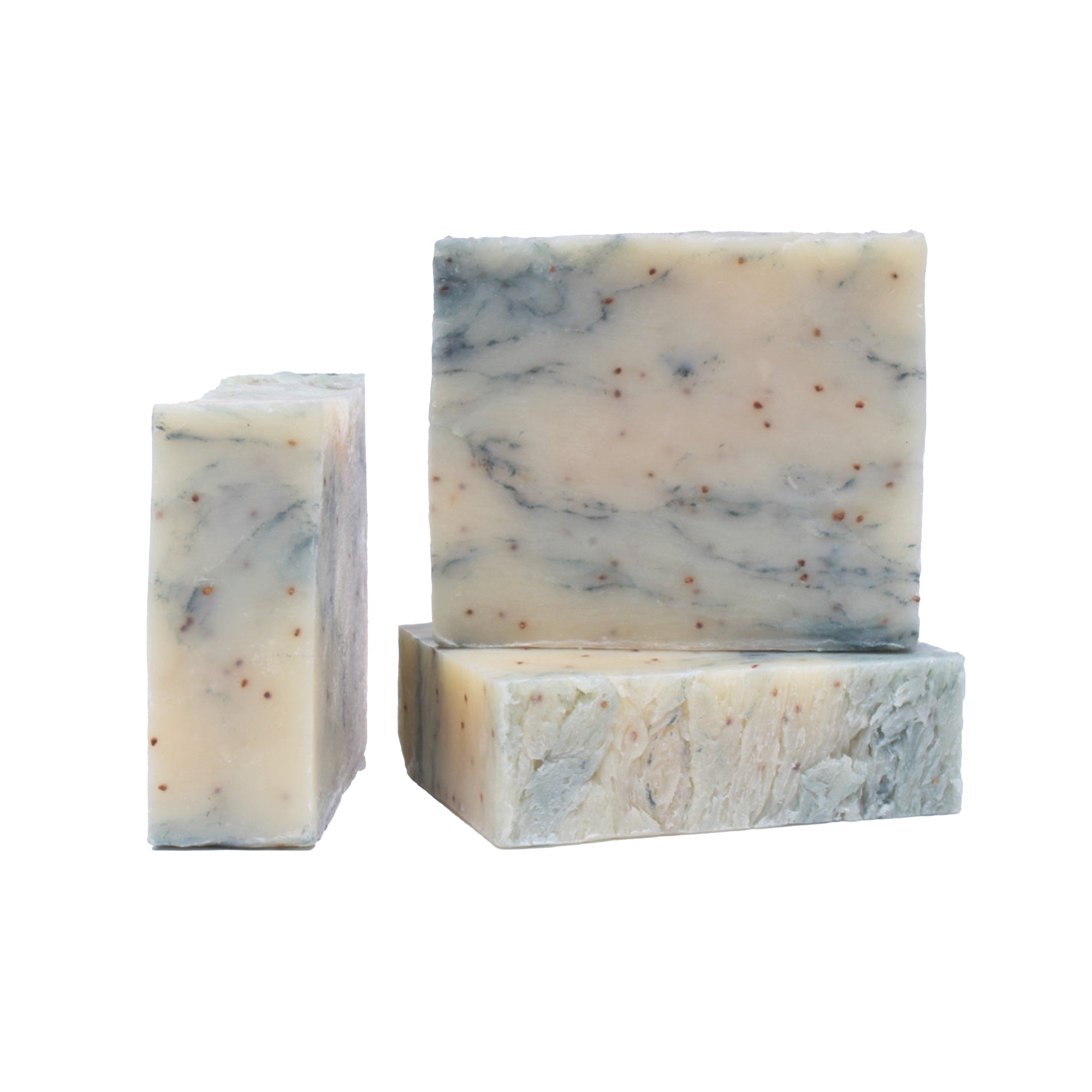 seasonal soap bundle - Parrotfish